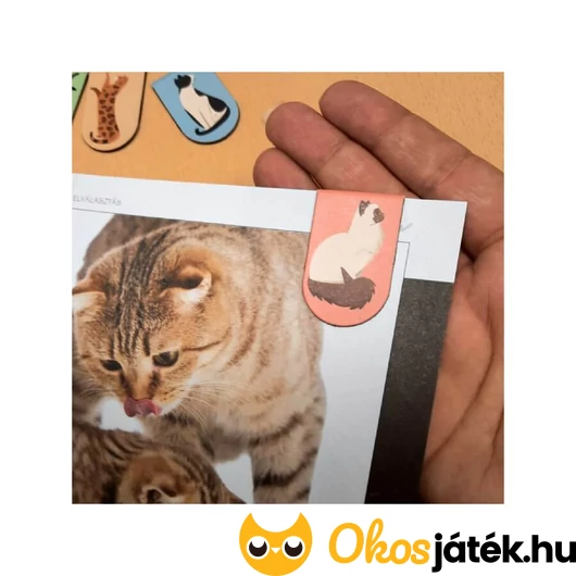 Cicás könyvjelző szett