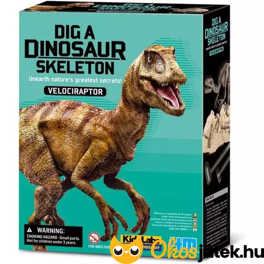 Régészeti játék - Velociraptor csontváz