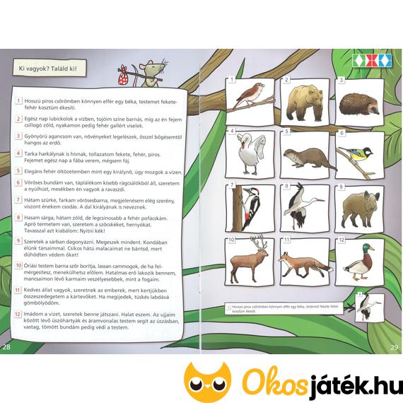 ldi 252 környezetünk titkai 2. osztály
